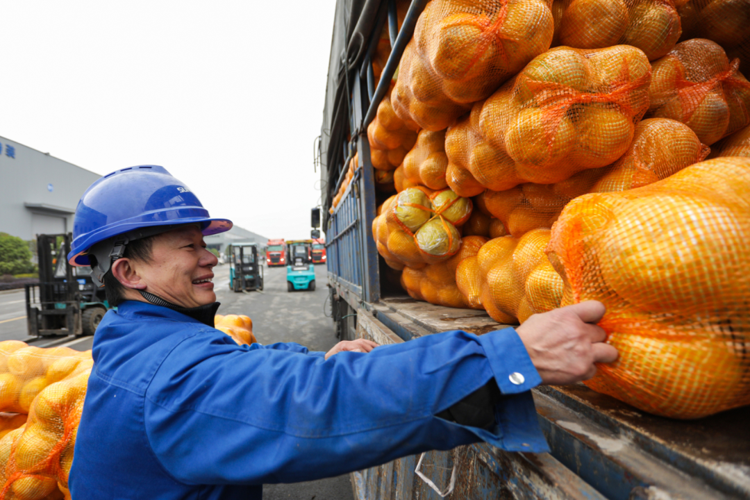 点赞！Z6官网智能成功入选“上市公司村落振兴优良实际案例”