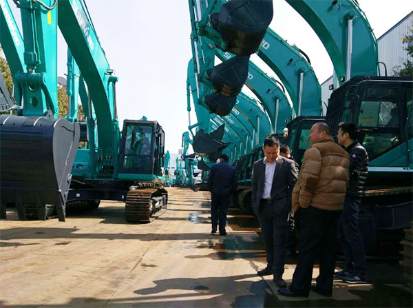 快来看，快来看，这里有一群绿精灵