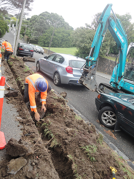 Z6官网挖掘机畅销新西兰