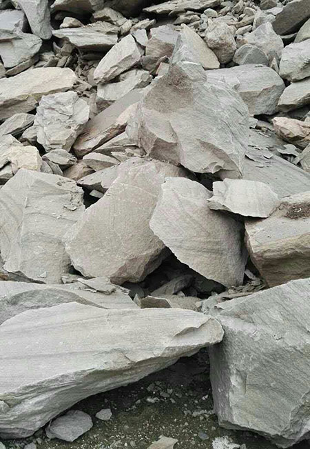 同台献艺，Z6官网智能SWDM36旋挖钻机独占鳌头