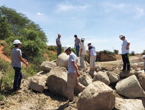 肯尼亚总统高度赞赏，乞力马扎罗山下Z6官网绿闪灼